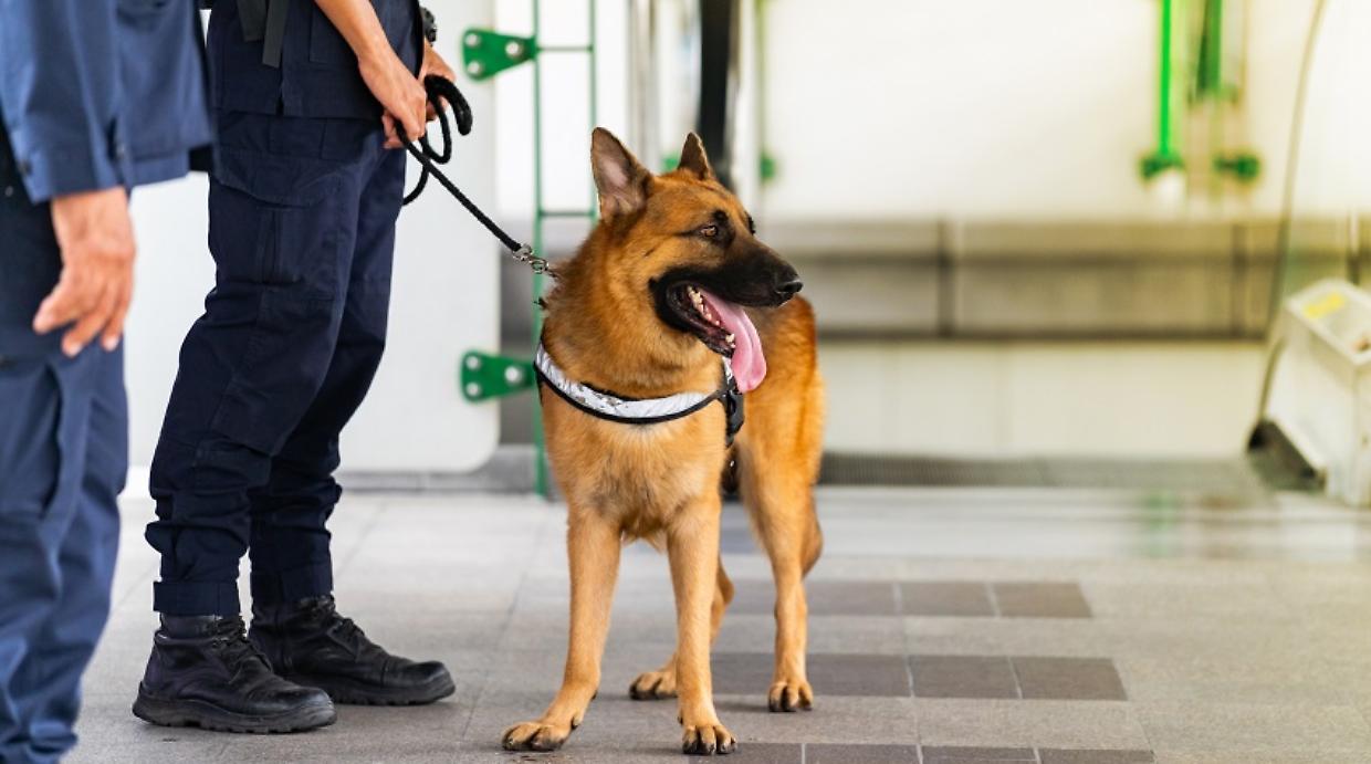 Ai domiciliari da una settimana, spacciava dalla finestra: arrestato 62enne