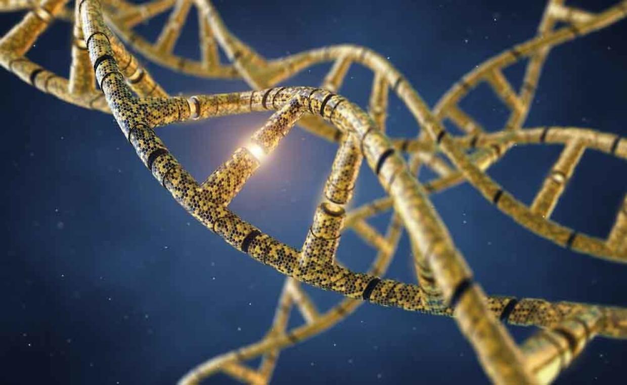 L'Università di Modena e Reggio Emilia scopre una mutazione genetica alla base dei tumori del sangue