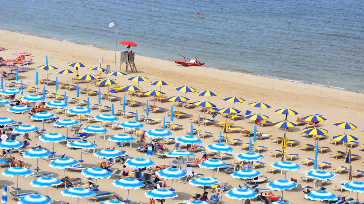 Acqua rossa e pesci morti sulla costa ravennate. La causa? Temperature alte  e clorofilla elevata