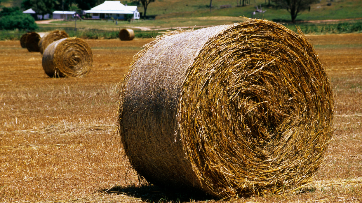 Tragedia in azienda agricola: muore schiacciato da una rotoballa 