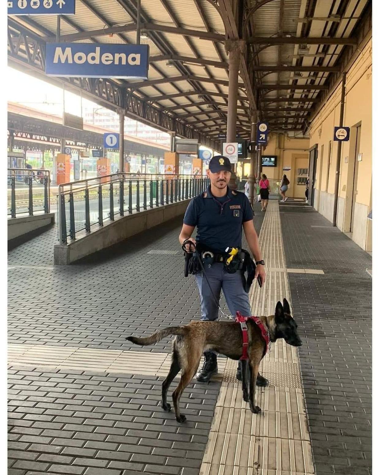 Modena. cucciolo di cane scappa dal treno e si avventura sui binari