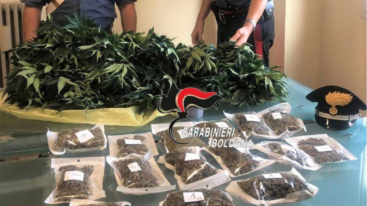 Imola: scoperto laboratorio di droga in casa di un 32enne