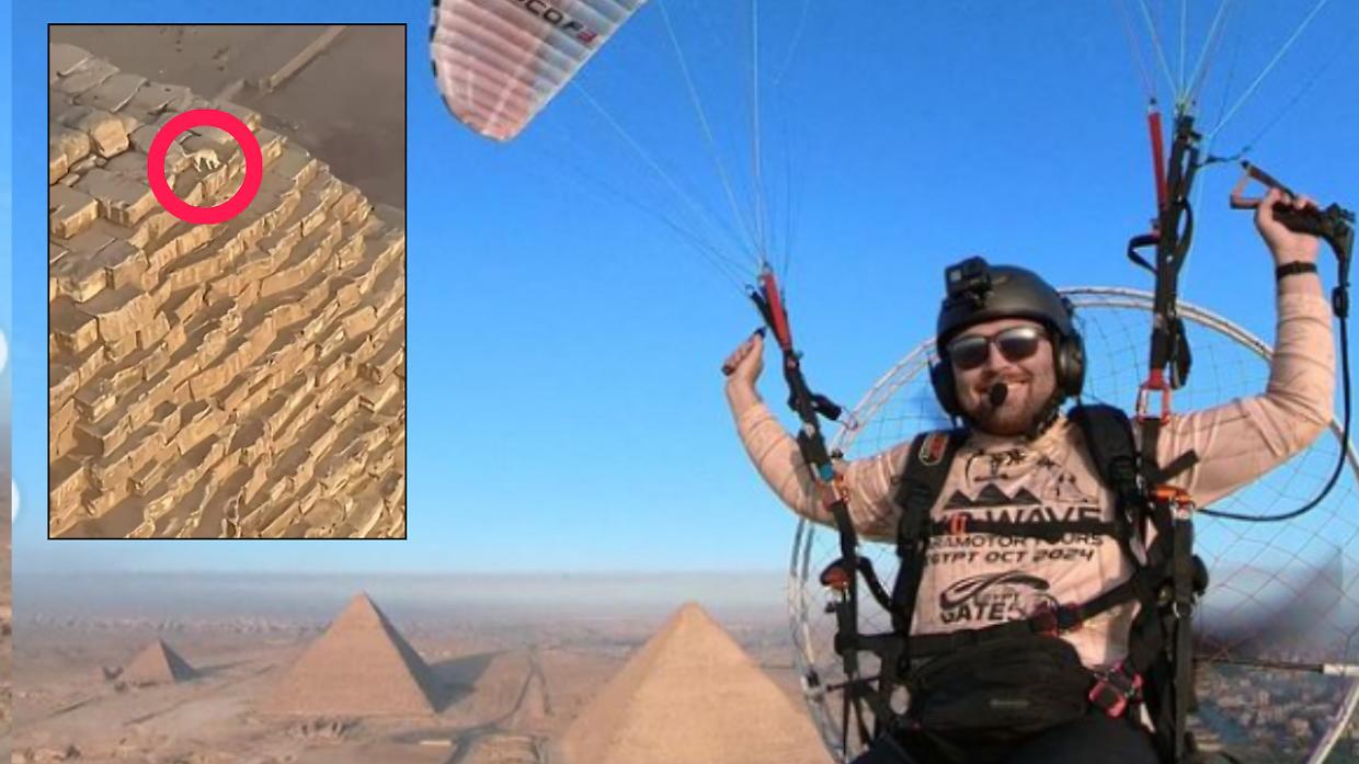 Un insolito avvistamento: un cane sulla sommità della Grande Piramide di Giza