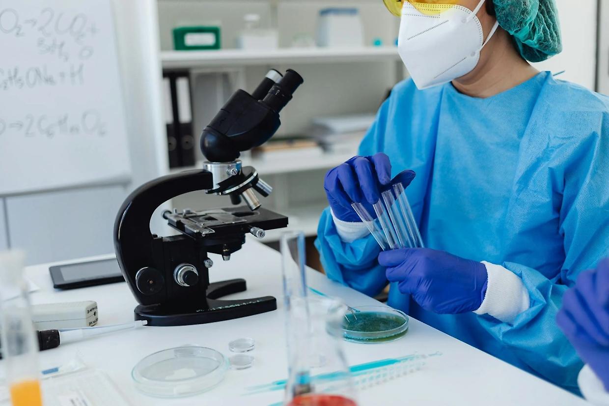 Il cervello “risvegliato” dopo la morte: una ricerca tra scienza e etica
