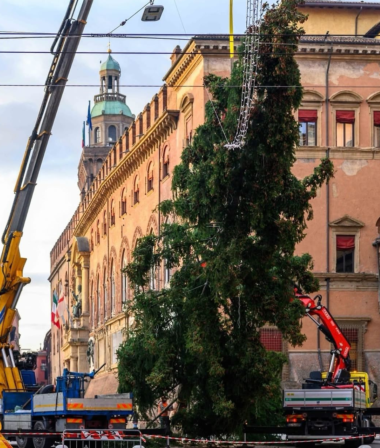 Bologna, arrivato l'albero di Natale di Bologna: l'accensione il 30 novembre