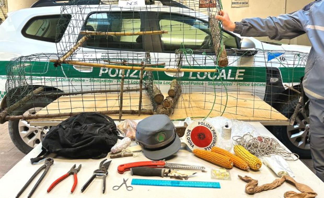 Bracconaggio a Ozzano: denunciato un uomo per trappole illegali nei boschi