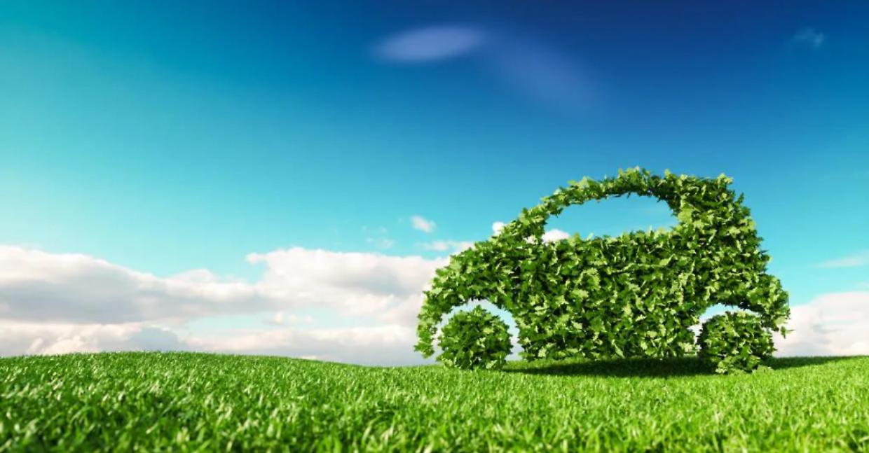 Ravenna: tutte le regole della domenica ecologica