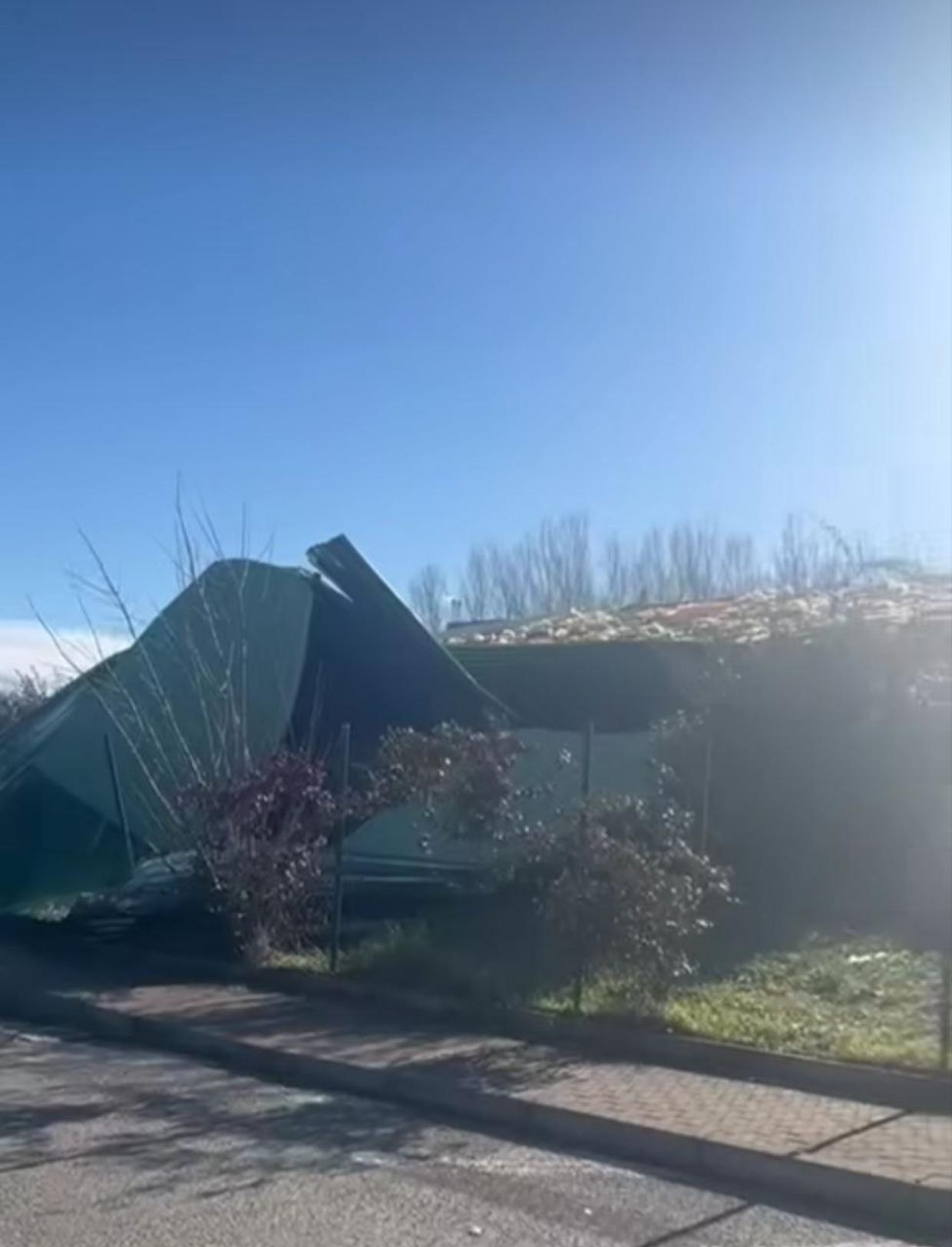 Emergenza vento in Emilia-Romagna: oltre mille interventi dei Vigili del Fuoco