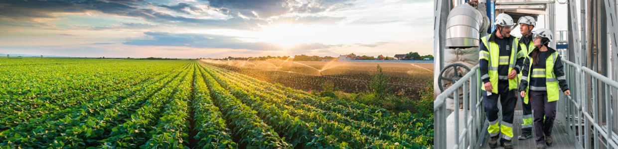 Ravenna: azienda agroalimentare offre opportunità di lavoro nei settori chiave dell'ingegneria e logistica