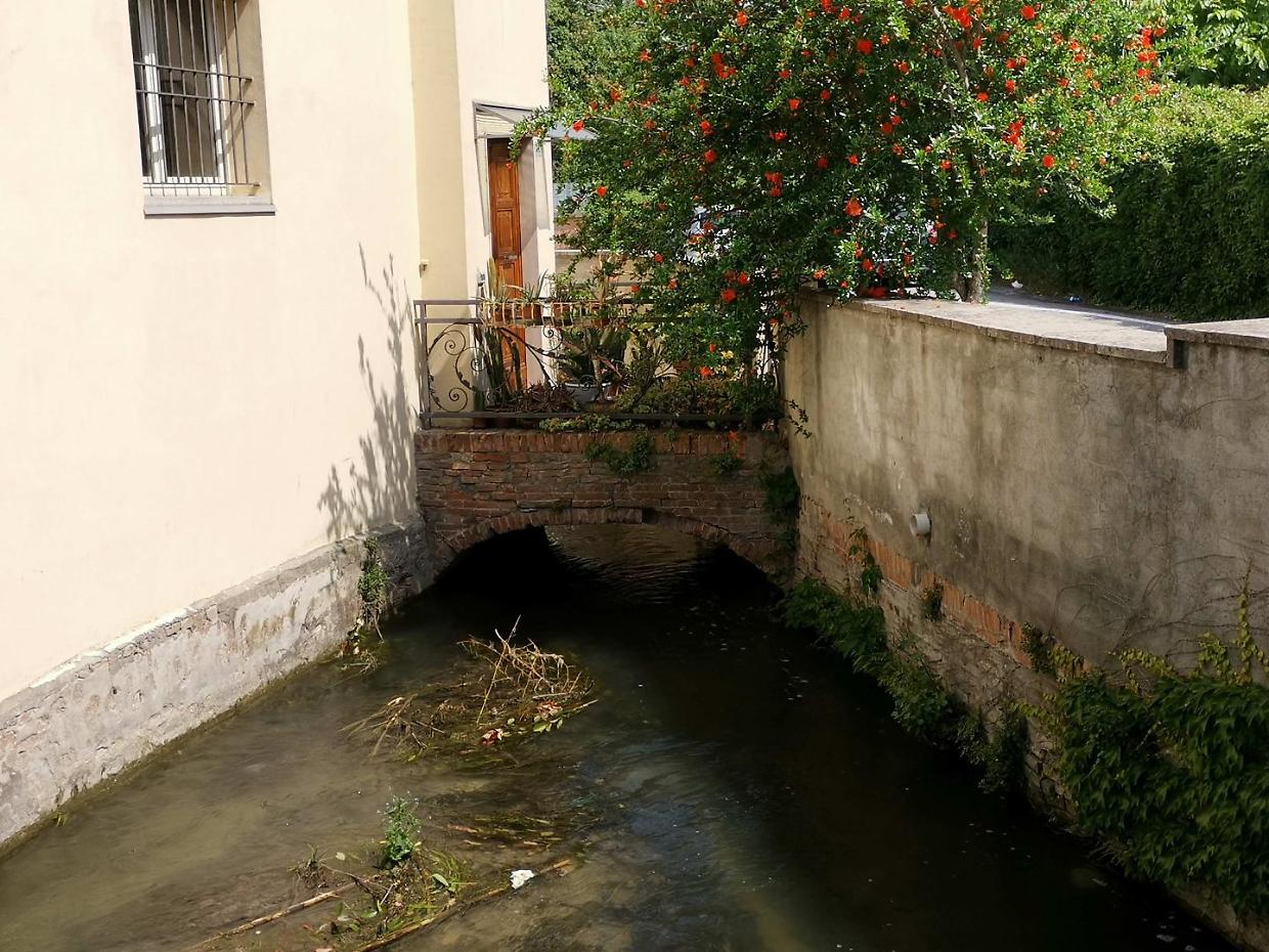 Rimosse 3 mila tonnellate di fango