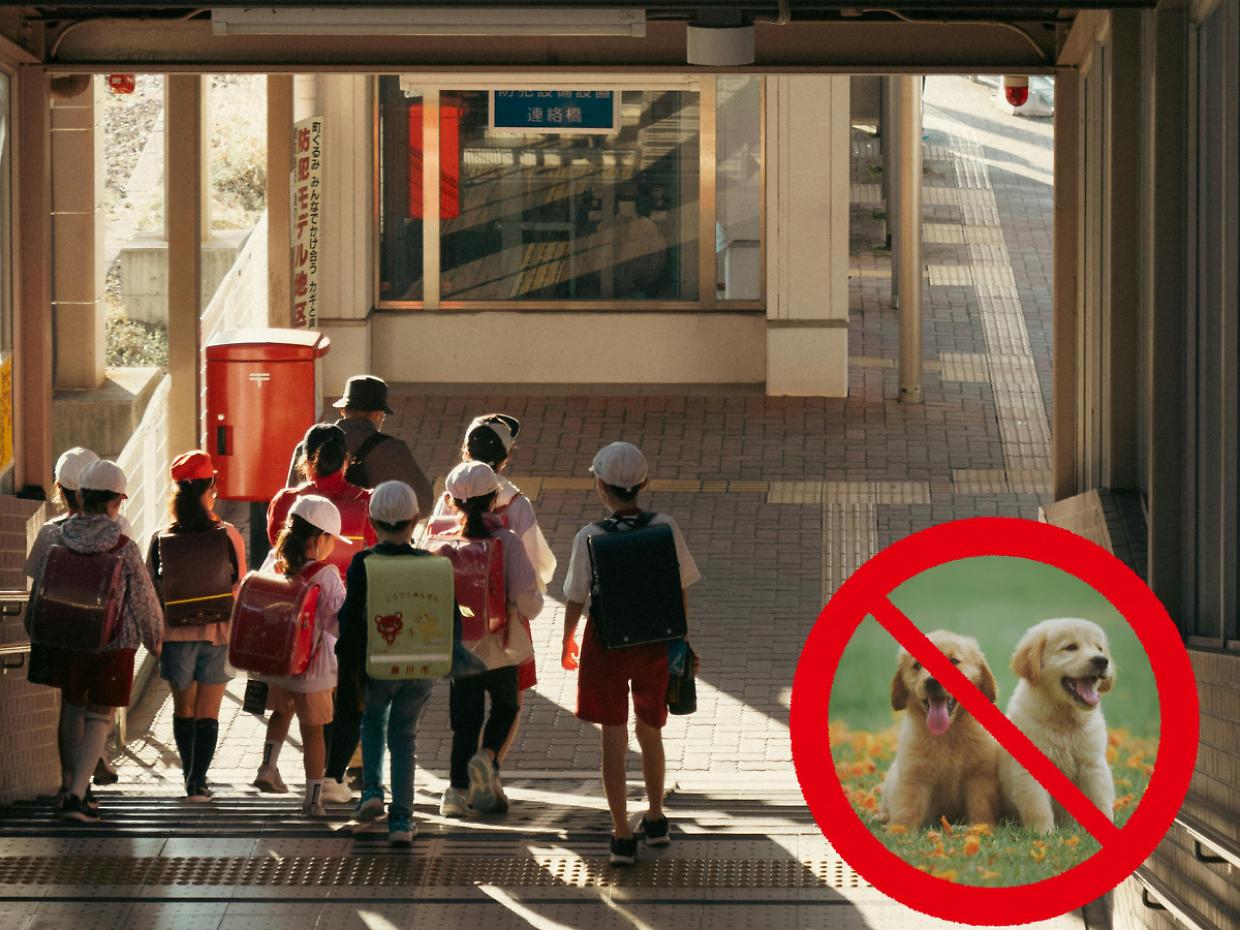 Stop ai cani davanti a scuola: la nuova misura di sicurezza a Castel Maggiore