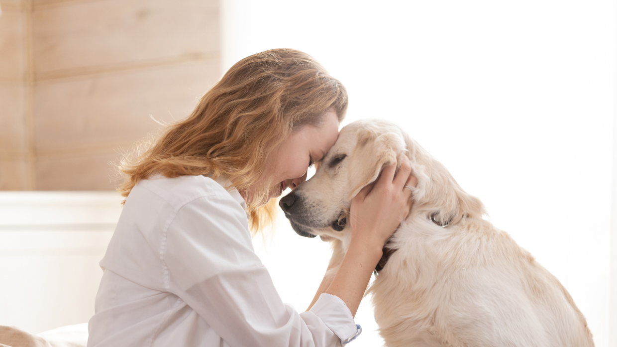 Bastano 10 minuti di coccole per ridurre lo stress, lo dice la scienza