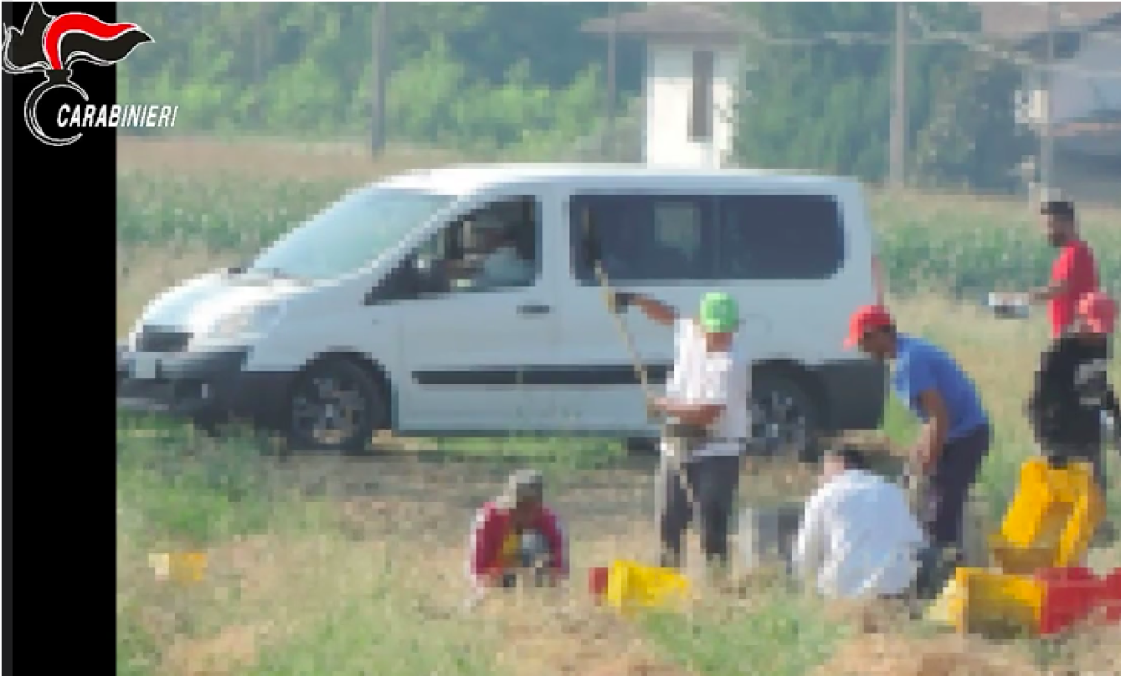 Sfruttamento nei campi della bassa piacentina: arrestati due cittadini stranieri