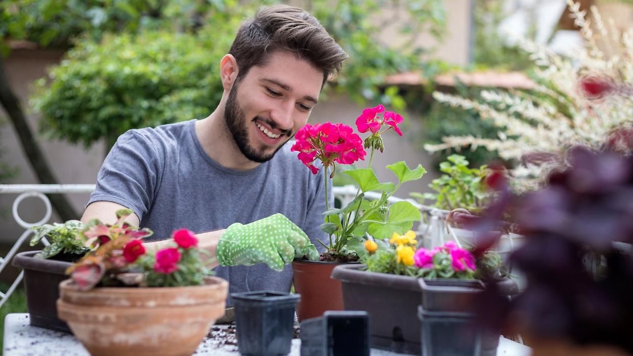Rifiuti verdi, occhio allo smaltimento: multe fino a 600 euro per chi sbaglia