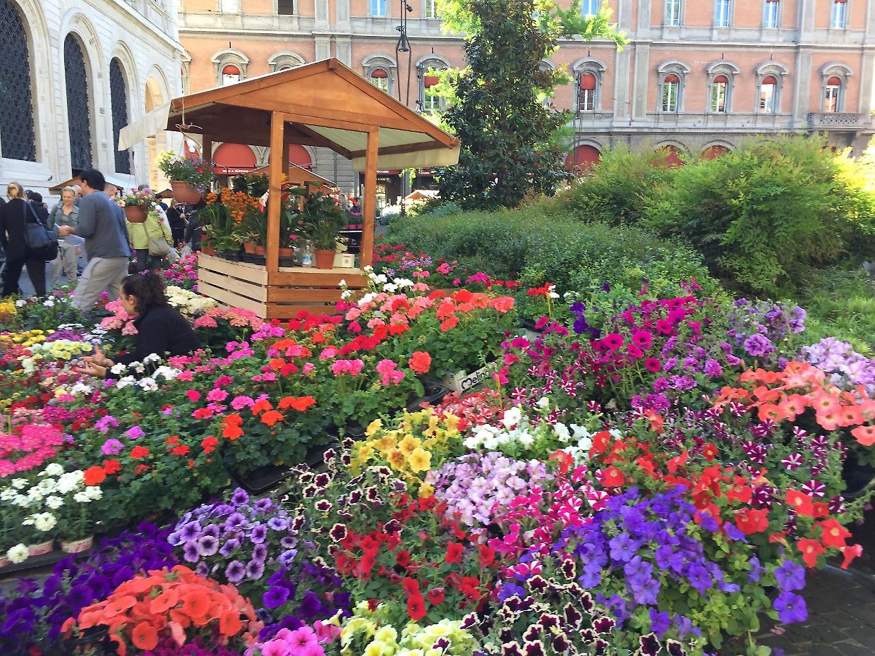 I colori della Primavera esplodono in piazza Minghetti 