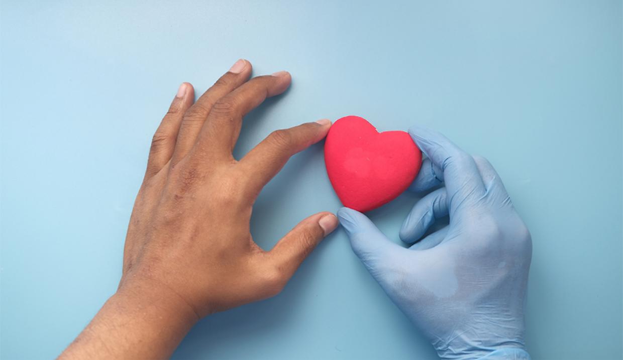Gli italiani hanno paura della donazione di organi: aumentano i "no" nel 2025