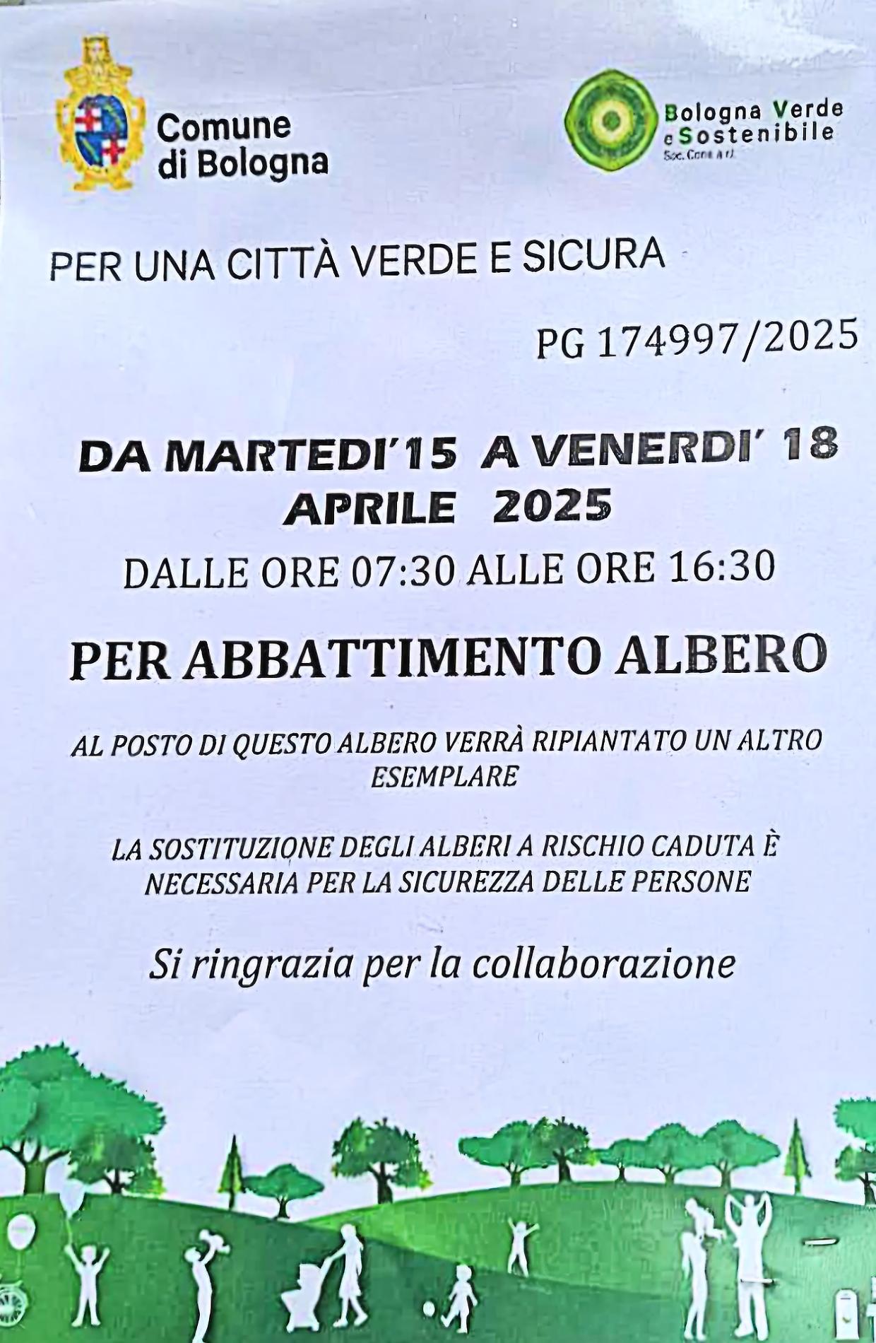 Abbattimento Alberi