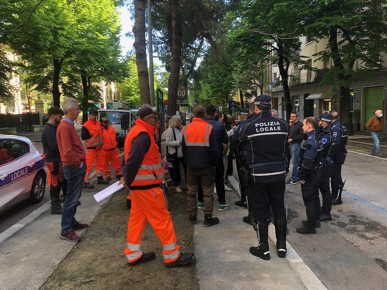 I residenti di viale Oriani si mobilitano per salvare i loro pini