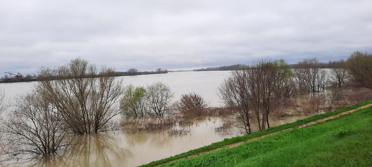 Maltempo in Emilia-Romagna: allerta rossa per la piena del Po