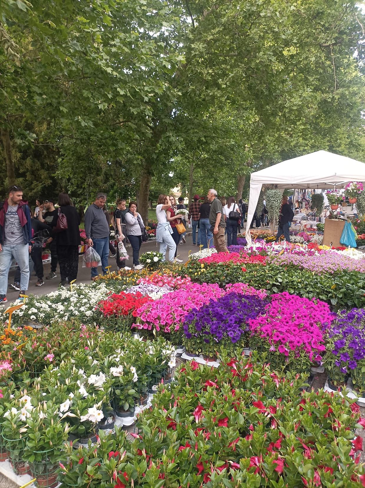 "Giardini&Terrazzi": a Bologna la 31ª edizione della manifestazione del verde e design outdoor