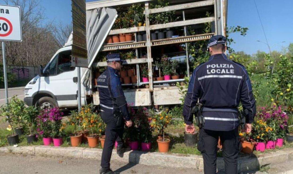 La seconda vita delle piante sequestrate: un dono verde per l'istituto agrario di Bologna