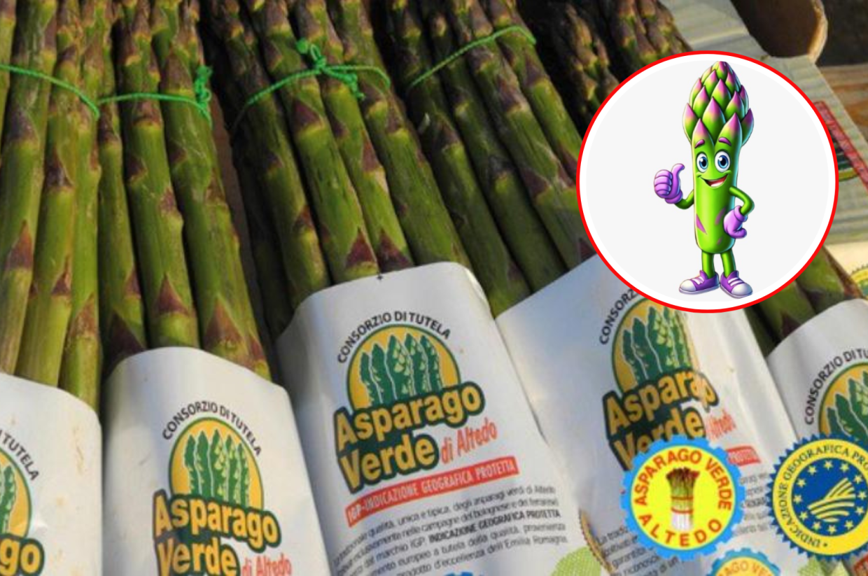 Ritorna la Sagra dell'Asparago Verde di Altedo: una celebrazione delle eccellenze agroalimentari dell'Emilia-Romagna