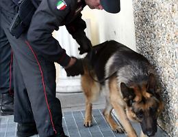 Furgone sospetto fermato a Spilamberto: sequestro di droga e denunce per guida senza patente