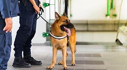 Ai domiciliari da una settimana, spacciava dalla finestra: arrestato 62enne