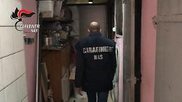 Operazione Nas nella Bassa Reggiana: sequestrati giocattoli privi di certificato "CE"