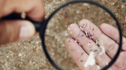 Microplastiche nel Po: un allarme per l'ambiente e la salute