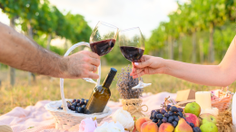 Festa della Vendemmia: un viaggio tra vini e tradizione a Bologna 