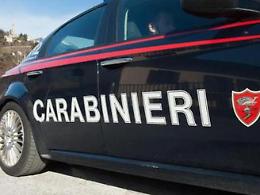 Sfondano la porta d'ingresso e rubano la cassa: colpo in un bar di Reggio Emilia