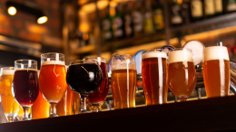 MicroBo Beer Festival: il festival bolognese dei birrifici artigianali 