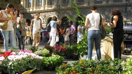 Bologna in Fiore e Giardini & Terrazzi: due appuntamenti imperdibili in città. Ecco quando