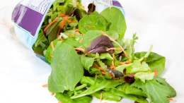 Insalata in busta a rischio listeria. Ecco i marchi coinvolti