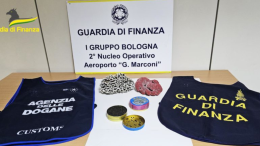 Bologna, sequestrati coralli e caviale appartenenti a specie protette