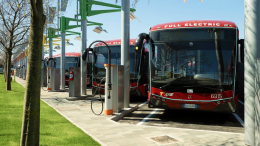 Autobus in Emilia Romagna: Bologna è la città più green, ma i mezzi elettrici sono solo il 4% 