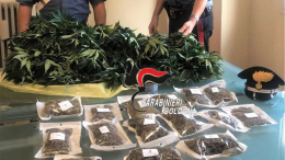 Imola: scoperto laboratorio di droga in casa di un 32enne