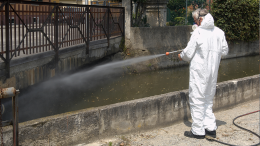 Bologna, un altro caso di Dengue confermato: cosa fare nelle zone della disinfestazione