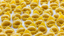 A Bologna ritorna il Festival del Tortellino: 20 Chef per 20 'Turtlé'