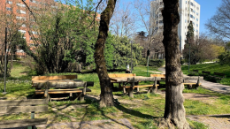 Aggressione nel parco di Bologna: il racconto