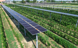 A Forlì il futuro dell'agricoltura sostenibile con l'impianto agrivoltaico avanzato di Caviro