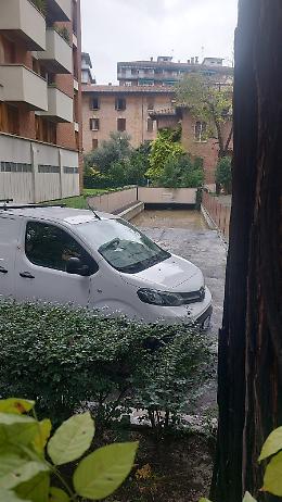 Bologna si lecca le ferite di una sciagura annunciata