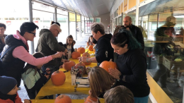 "Zucca Day" a Ravenna: un evento tra sapori, creatività e tradizioni autunnali