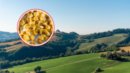 Gran ritorno del weekend dei tortellini alla Sagra di Pianoro 