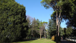 Forlì tra le città più ecologiche d’Italia: quinta nella classifica di Legambiente