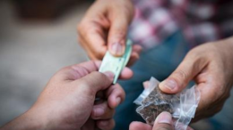 Cocaina nel dehor di un bar a Casteldebole: trovate 36 dosi pronte per lo spaccio