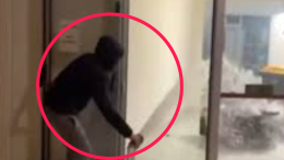 Raid vandalico al Rubicone Fashion Outlet: denunciati cinque minorenni, caccia aperta agli altri membri della baby gang