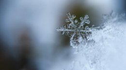 Neve in Emilia Romagna: l'Appennino si veste di bianco