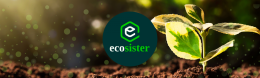 Ecosister: la sfida green dell’Emilia-Romagna con i primi sviluppi